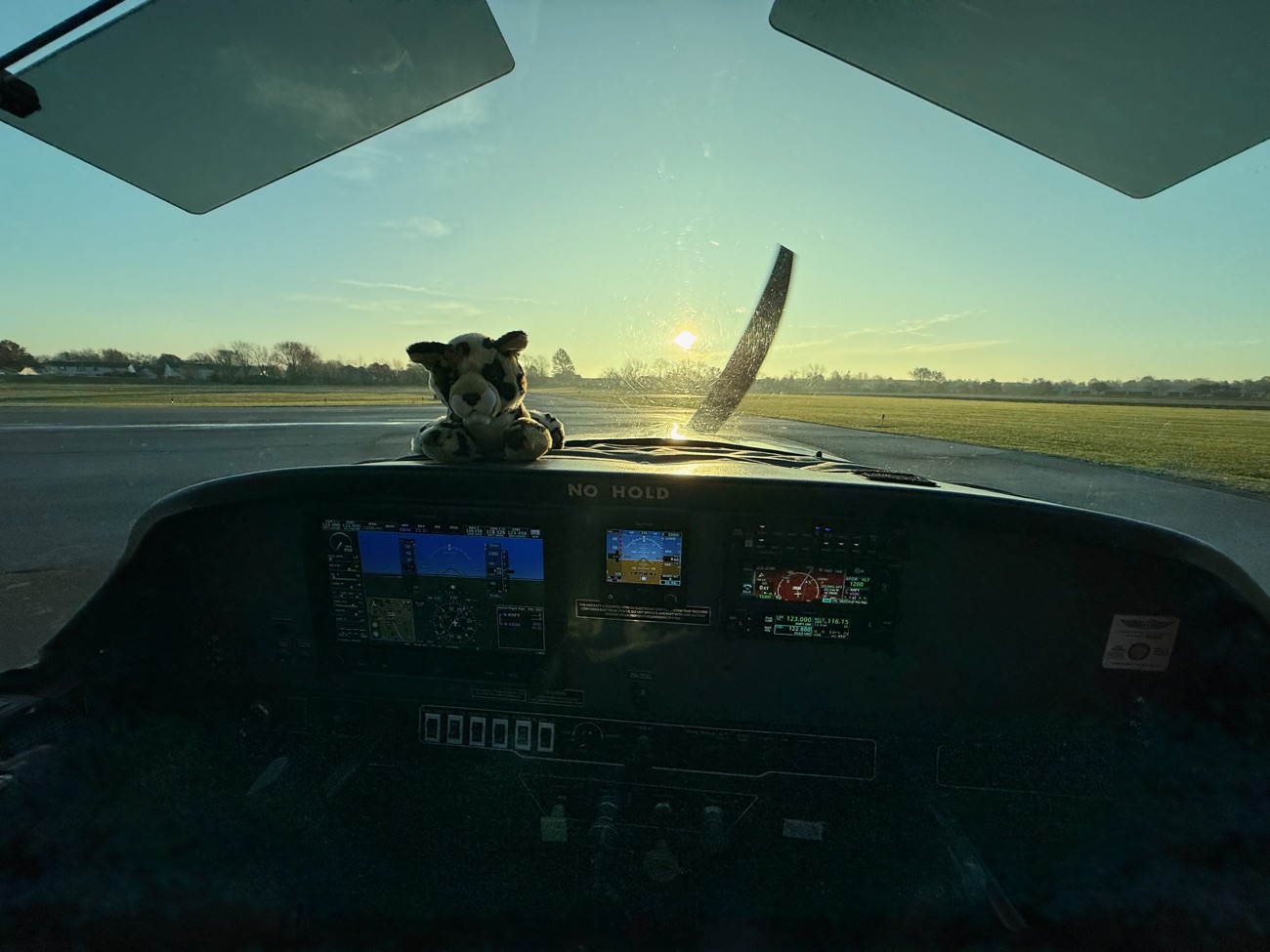 Stuffed tiger mascot perched on the glareshield at sunrise